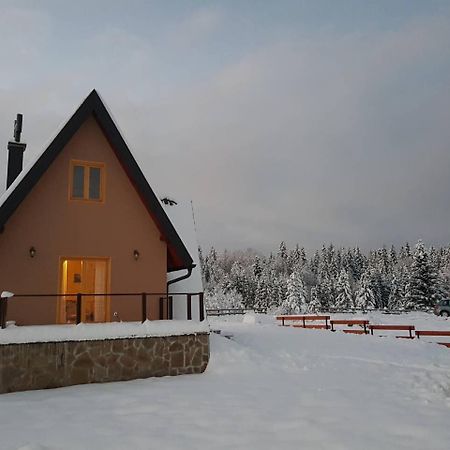Mountain House Popovic Tara Villa Bajina Basta Luaran gambar