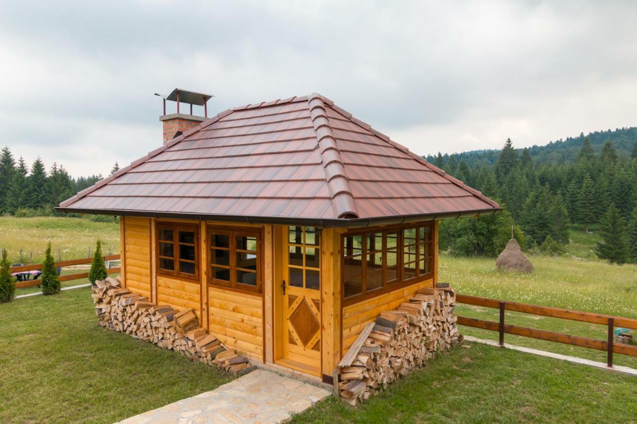 Mountain House Popovic Tara Villa Bajina Basta Luaran gambar